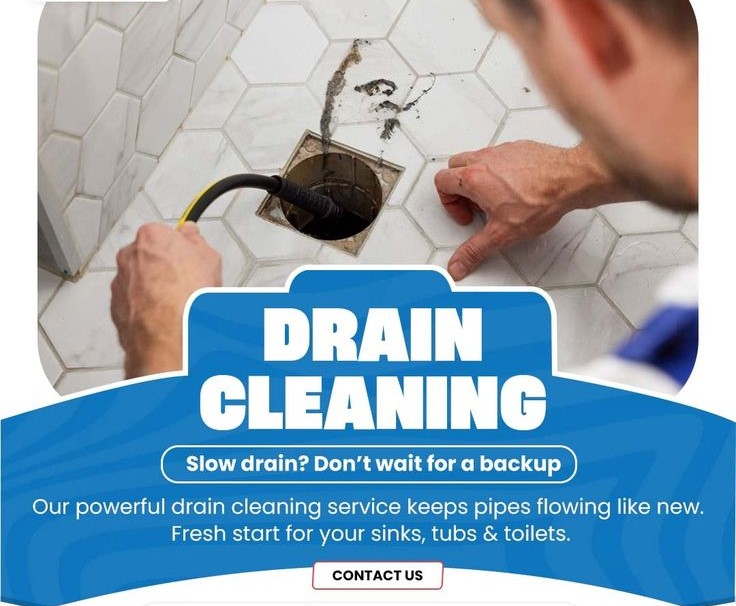 أنسداد المجاري